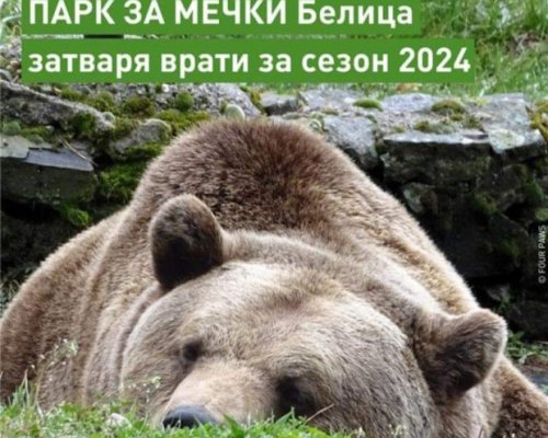Паркът за мечки край Белица затваря врати за посетители