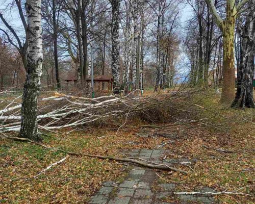 Вятърът нанесе материални щети и в Дупница