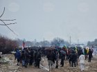 Десетки хора от цялата страна се събраха на протест пред ферма във Велинград, в която беше констатирано огнище на чума