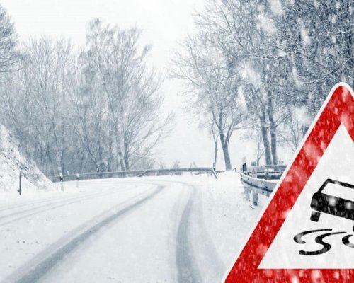 Проходът  Петрохан” е затворен заради паднали дървета