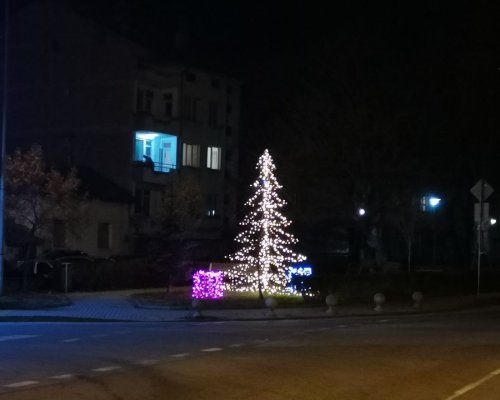 Елхата в Гоце Делчев грейва на Никулден