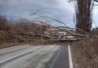 Зрелищна каскада: 18-годишен се заби в крайпътно дърво и затвори пътя за благоевградското село Хърсово