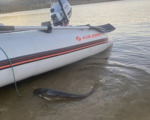 Безплатен риболов в язовир Логодаж по случай празника на рибарите