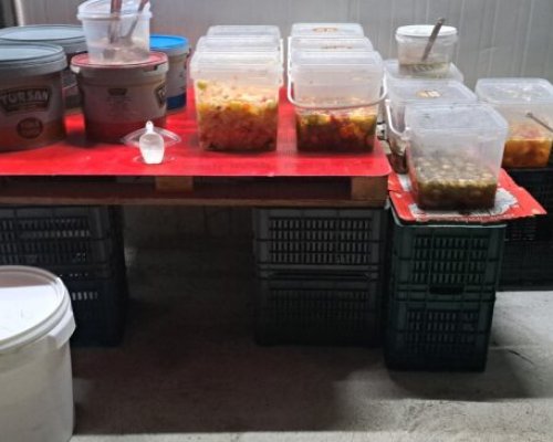 3 лв. за килограм кисело зеле от бидон на пазара в Сандански