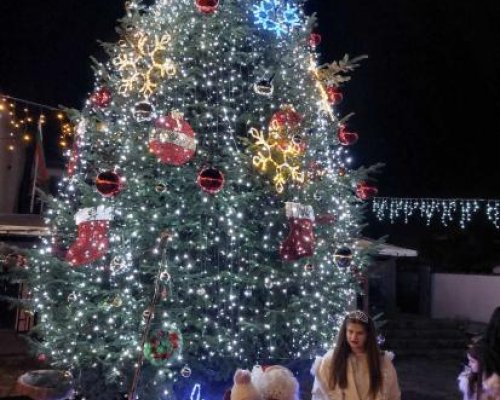 Дядо Коледа и Снежанка запалиха светлините на коледната елха в с. Полена