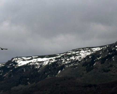 ПСС: Условията за туризъм в планините са лоши