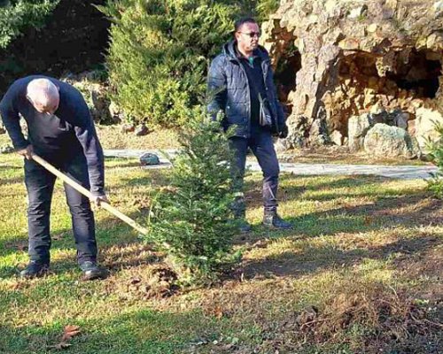 Нови фиданки ще красят парка и Летния театър в Сандански