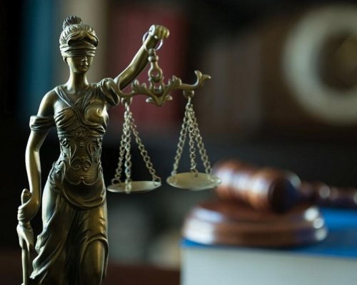 Глобиха с 20 бона мъж от Петрич, засял канабис за над 32 милиона лева