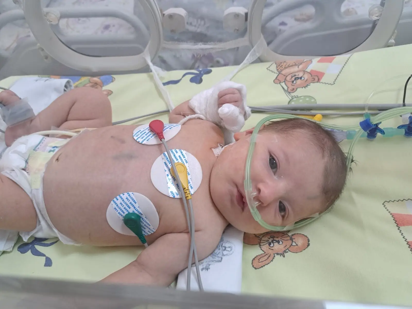 Малката София се нуждае от нашата помощ! Историята на една майчина любов Малката София се нуждае от нашата помощ! Историята на една майчина любов