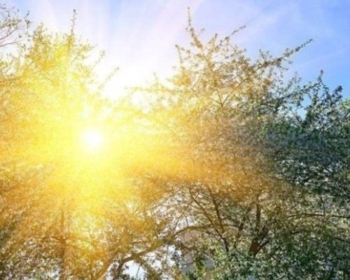 Предимно слънчево време ни очаква днес
