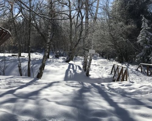 Слънчево с температури до 18° утре