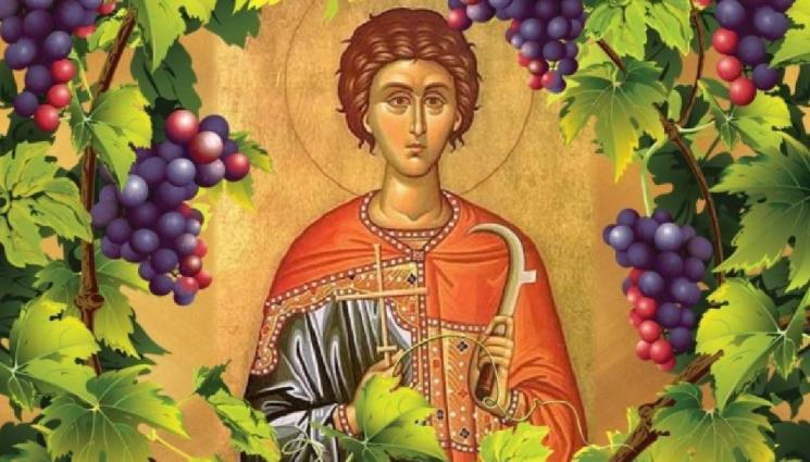ЧУДЕСА И ВЯРА: Лозари и стоматолози черпят през февруари ЧУДЕСА И ВЯРА: Лозари и стоматолози черпят през февруари