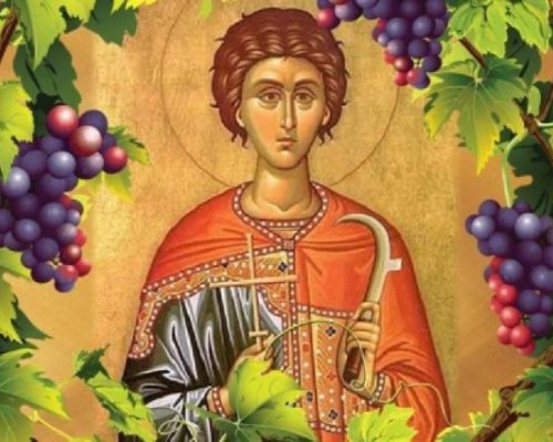 ЧУДЕСА И ВЯРА: Лозари и стоматолози черпят през февруари