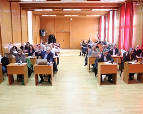 Общински съвет Банско прие програма за намаляване популацията на безстопанствените животни