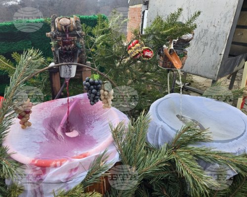 Чешма с бяло и червено вино тече в центъра на село Делчево по повод празника на виното Трифон Зарезан