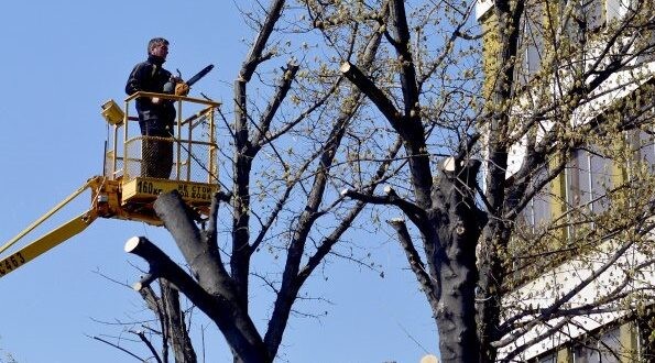 Поради премахване на опасна растителност: Затварят улици в района на ПГОСУ Св. Иван Рилски в Дупница