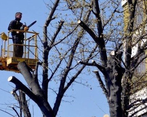 Поради премахване на опасна растителност: Затварят улици в района на ПГОСУ Св. Иван Рилски в Дупница