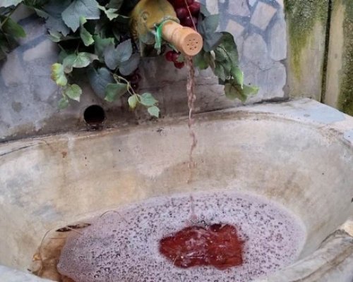 Празник на виното в Дупница