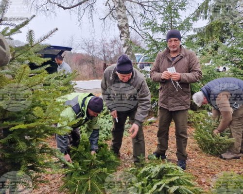 Не са констатирани нарушения при извършената проверка в Държавно горско стопанство - Сандански, каза директорът инженер Симеон Ефремов