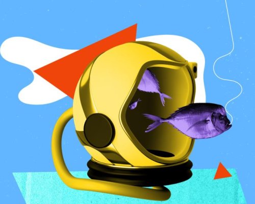 Зодиите с късмет през 2025: Сред тях ли сте?