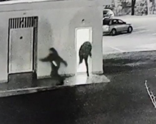 Вандалщина: Банда непълнолетни потроши парка в Петрич