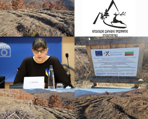Европрокуратурата разследва ЮЗДП-Благоевград и ДГС-Симитли по повод изпълнение на Европроект на стойност 1,7 млн. лева