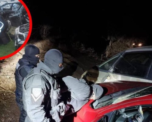 Кои са крадците на колите в България?