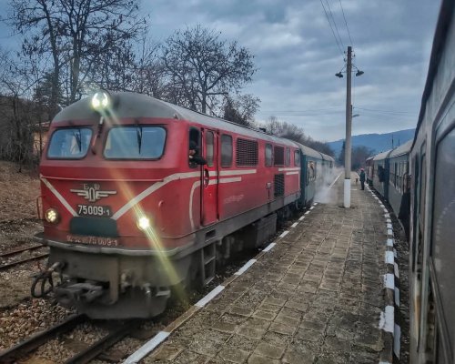 Родопската теснолинейка е с нов график на движение