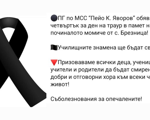 Обявиха ден на траур в ПГ по МСС Гоце Делчев, в памет на починалото 15-годишно момиче