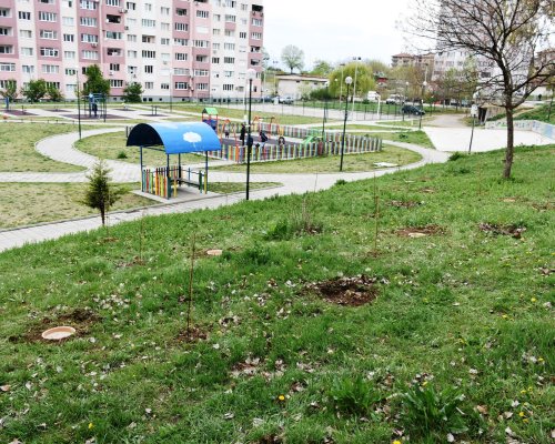 Близо 2 млн. лв за озеленяване на кални петна в кварталите получава Благоевград