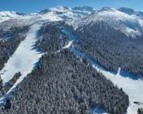 ПСС: Добри са условията за зимни спортове в планините