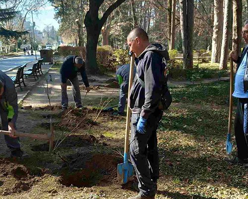 Сандански става все по-зелен
