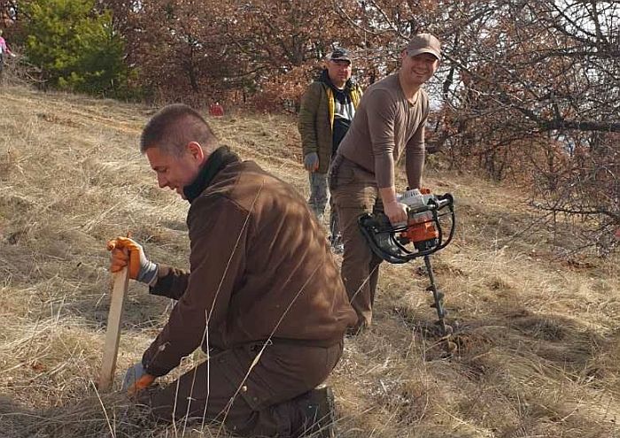 Горски залесиха 2000 фиданки край Рилския манастир
