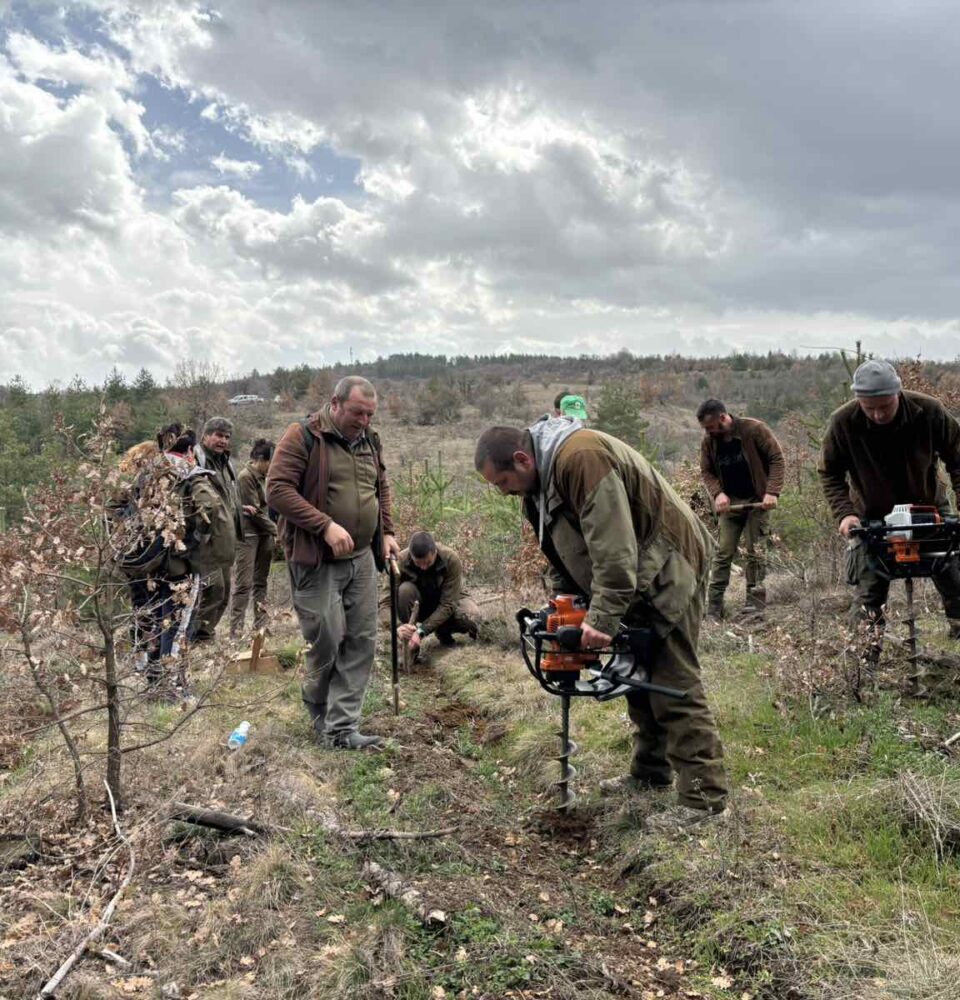 Златният век на българската гора-нови гори по повод 100-годишнината на Седмицата на гората