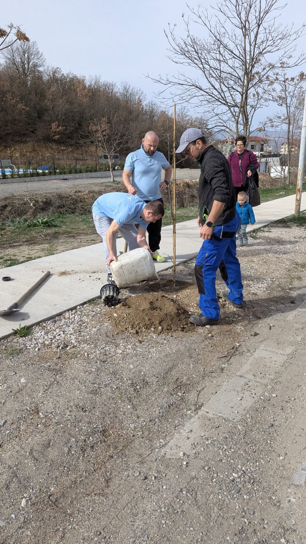 Hови декоративни дръвчета засадиха в с. Еленово Hови декоративни дръвчета засадиха в с. Еленово