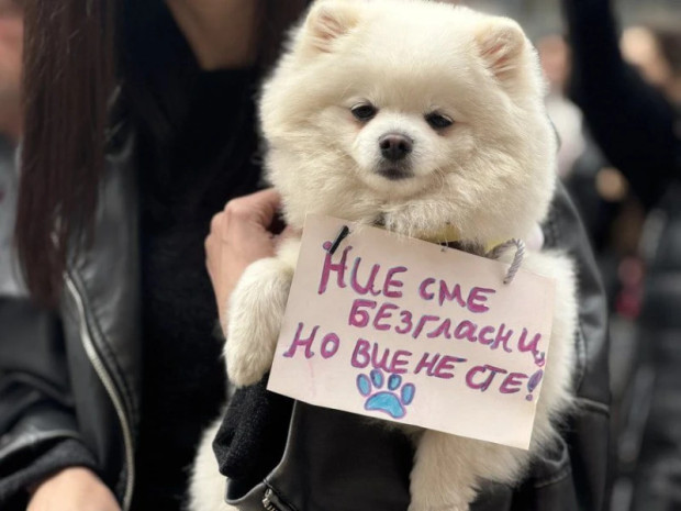 Благоевград се включва в протестите срещу насилниците и убийците на животни Благоевград се включва в протестите срещу насилниците и убийците на животни