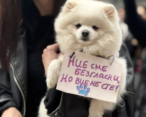 Благоевград се включва в протестите срещу насилниците и убийците на животни