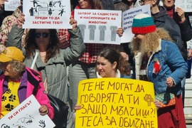 Варна - насилие над животни - протест