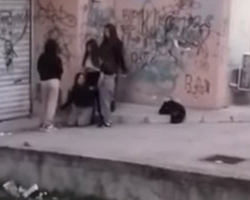 На колене!: 14-годишни момичета се гаврят и бият своя връстничка, пореден случай, който шокира обществото