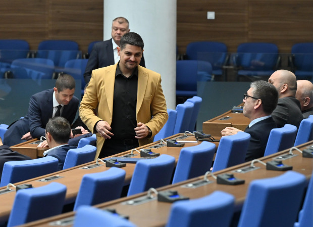 Парламентът възстанови групата на МЕЧ
