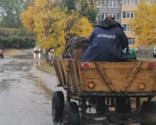 След заведенията: Нови наредби за боклуците и каруците в Благоевград