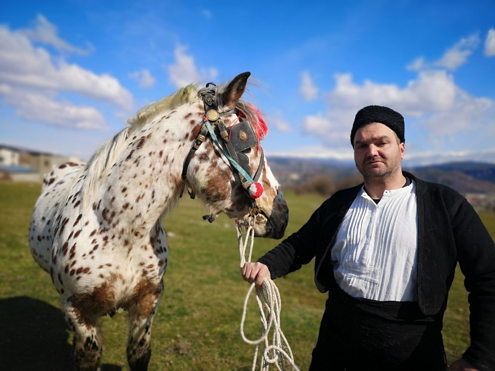 Красота и сила на състезание на тежковозни коне в събота край Крупник!