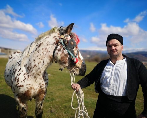 Красота и сила на състезание на тежковозни коне в събота край Крупник!