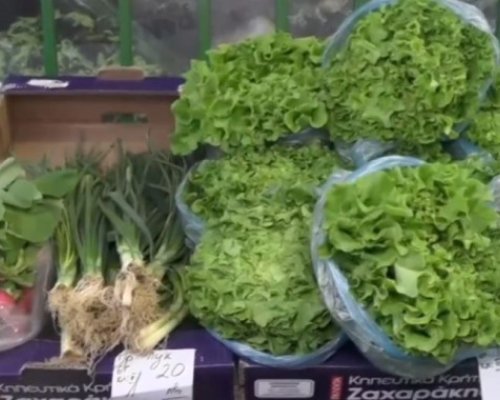 Поне 7 лв. за 1 традиционна великденска салата с маруля и репички