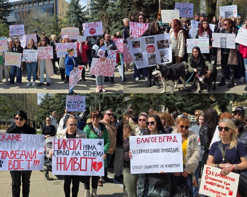 Днес е животно, утре човек! Благоевград въстана срещу насилието над животните