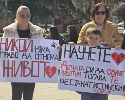 Протести в защита на животните в цялата страна