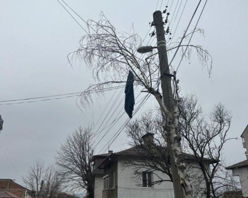 Одеяло по жиците, фитнес топка на дърво... Благоевград, ти си друг свят!