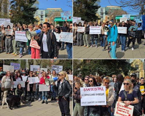 Благоевградчани протестираха в защита на животните