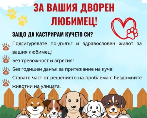 Община Банско отново стартира кампания за безплатна кастрация на дворни домашни любимци