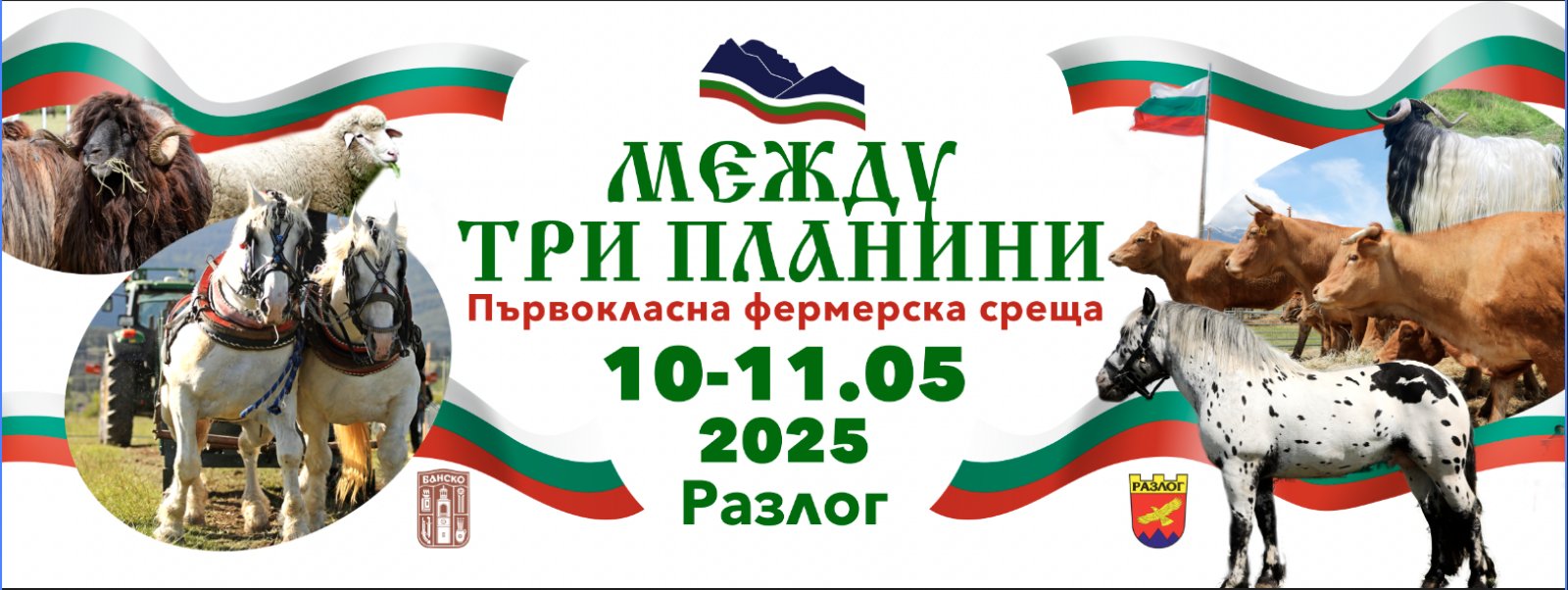 Между ТРИ ПЛАНИНИ събира отново елита сред фермерите край Банско и Разлог Между ТРИ ПЛАНИНИ събира отново елита сред фермерите край Банско и Разлог